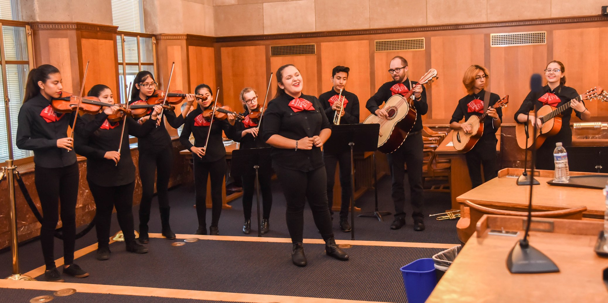 Group of violinists perform