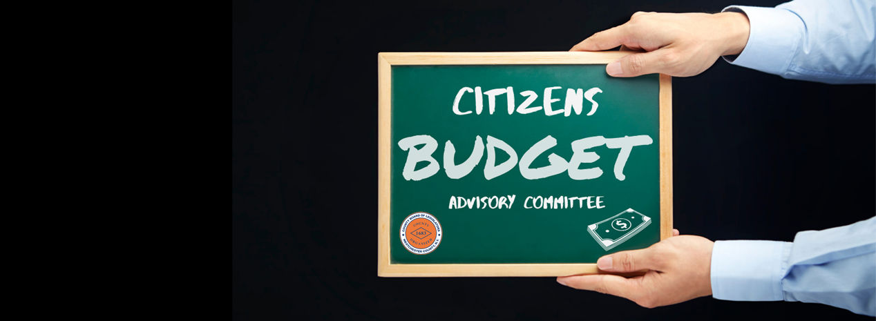 Citizens Budget Advisory Committee decorative image